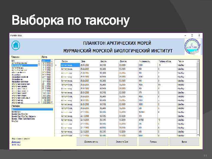 Выборка по таксону 11 