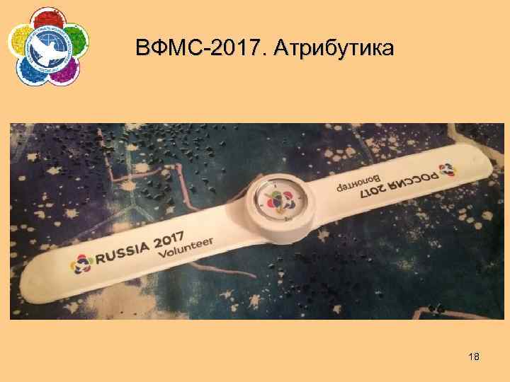 ВФМС-2017. Атрибутика 18 