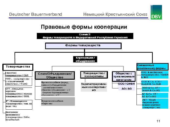 Deutscher Bauernverband Немецкий Крестьянский Союз Правовые формы кооперации 11 