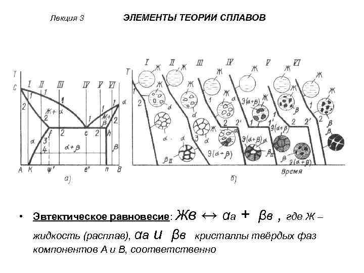 Лекция 3 ЭЛЕМЕНТЫ ТЕОРИИ СПЛАВОВ • Эвтектическое равновесие: Жв и ↔ αа + βв