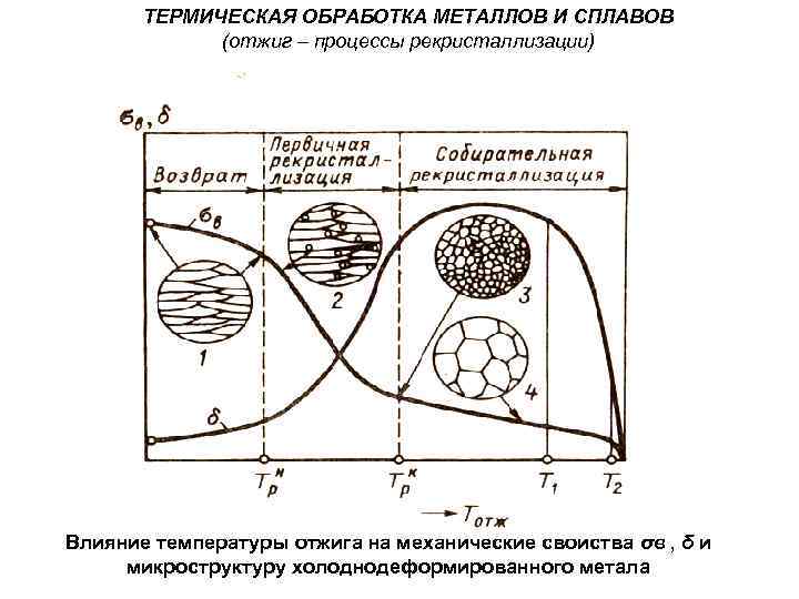 ТЕРМИЧЕСКАЯ ОБРАБОТКА МЕТАЛЛОВ И СПЛАВОВ (отжиг – процессы рекристаллизации) Влияние температуры отжига на механические