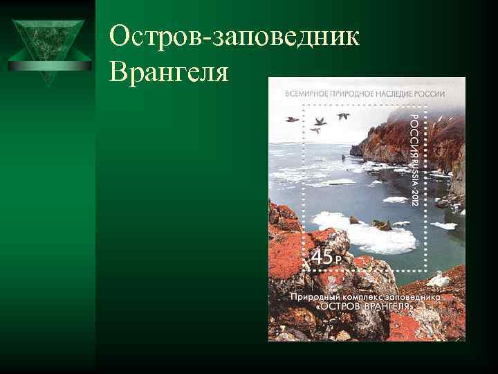 Презентация по острову врангеля