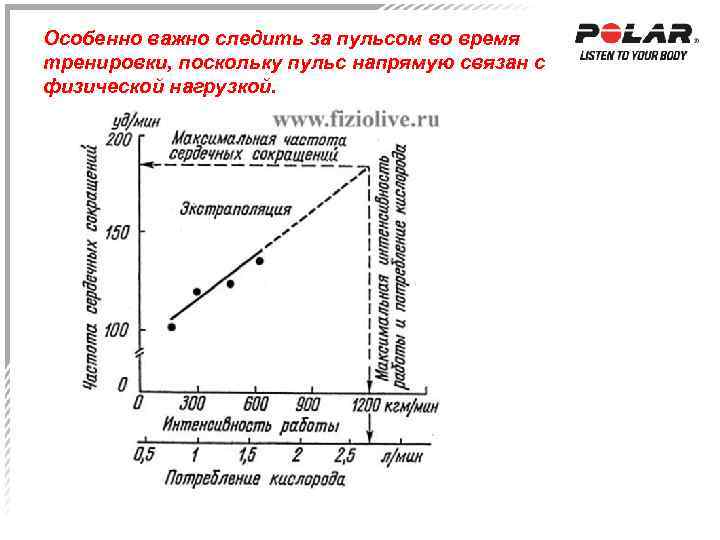 Особенно важно следить за пульсом во время тренировки, поскольку пульс напрямую связан с физической