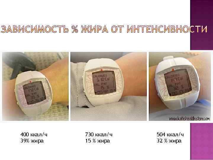 400 ккал/ч 39% жира 730 ккал/ч 15 % жира 504 ккал/ч 32 % жира