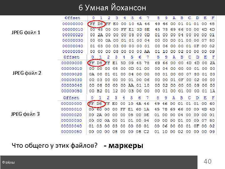 6 Умная Йохансон JPEG файл 1 JPEG файл 2 JPEG файл 3 Что общего