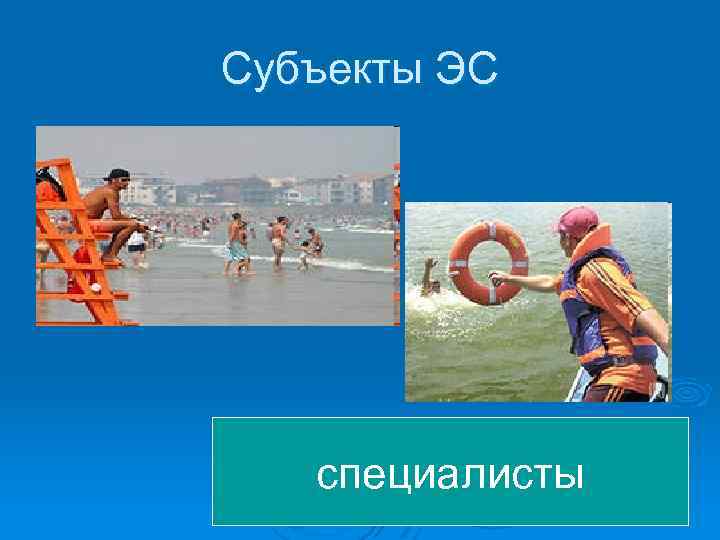 Субъекты ЭС специалисты 