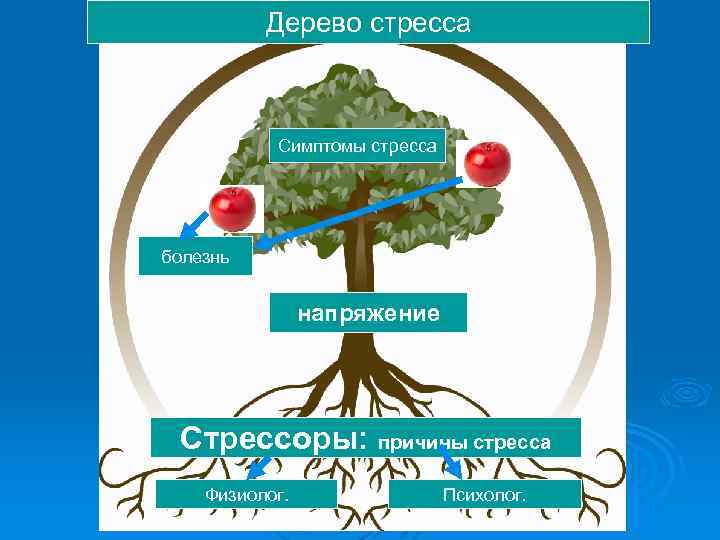 Дерево стресса Симптомы стресса болезнь напряжение Стрессоры: причины стресса Физиолог. Психолог. 