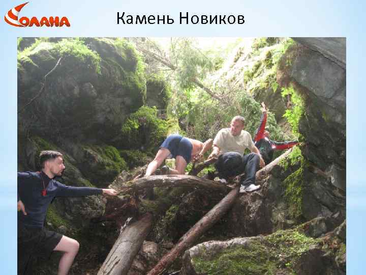 Камень Новиков 