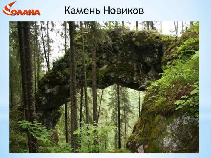 Камень Новиков 