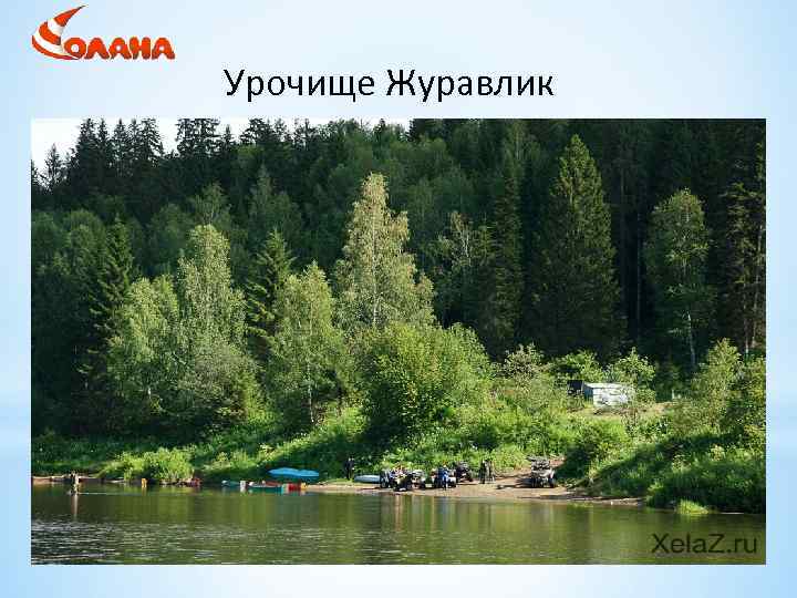 Урочище Журавлик 