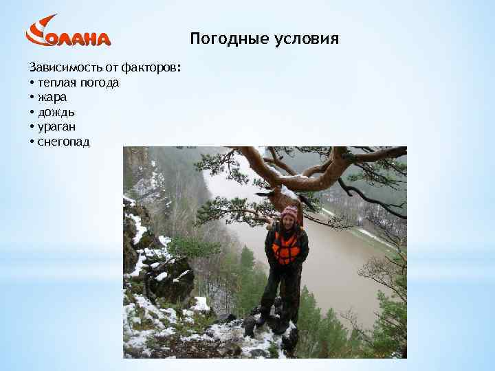 Погодные условия Зависимость от факторов: • теплая погода • жара • дождь • ураган