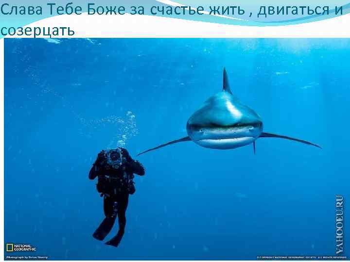 Слава Тебе Боже за счастье жить , двигаться и созерцать 