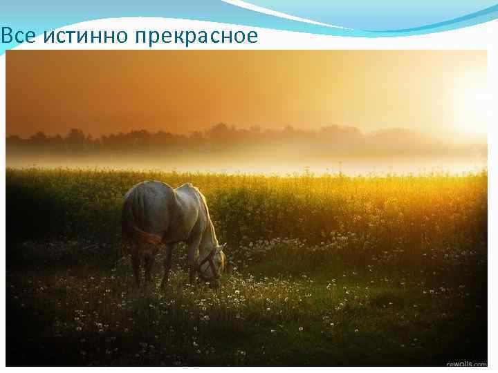 Все истинно прекрасное 
