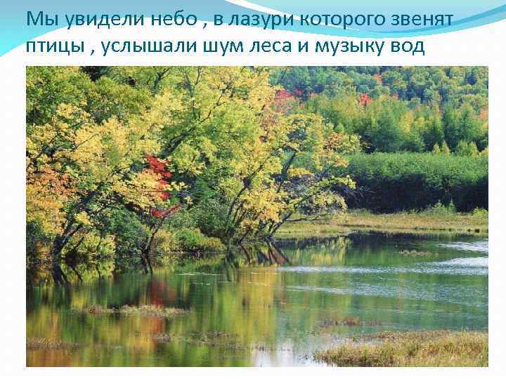 Мы увидели небо , в лазури которого звенят птицы , услышали шум леса и