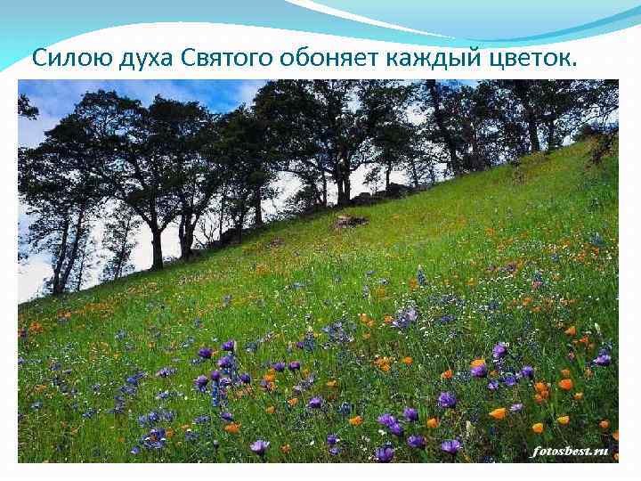 Силою духа Святого обоняет каждый цветок. 