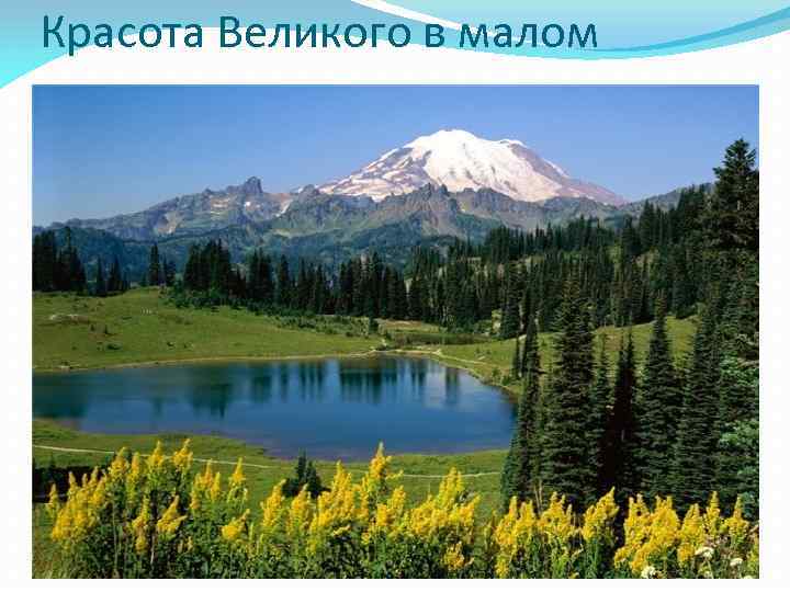 Красота Великого в малом 