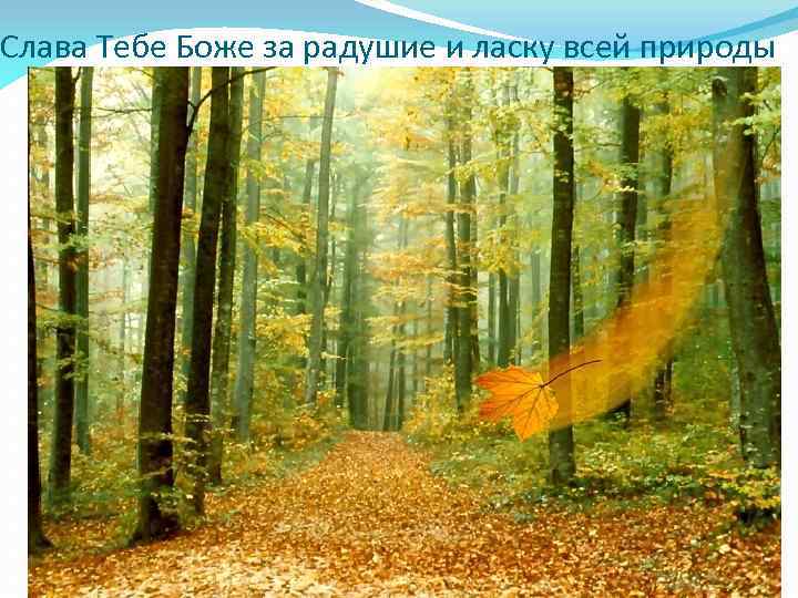 Слава Тебе Боже за радушие и ласку всей природы 