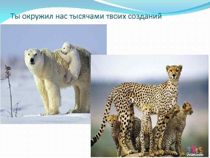 Ты окружил нас тысячами твоих созданий 