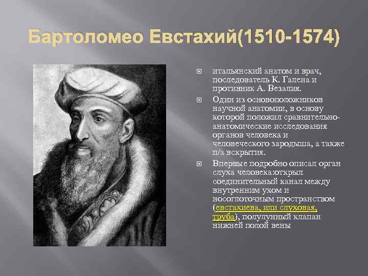 Бартоломео Евстахий(1510 -1574) итальянский анатом и врач, последователь К. Галена и противник А. Везалия.