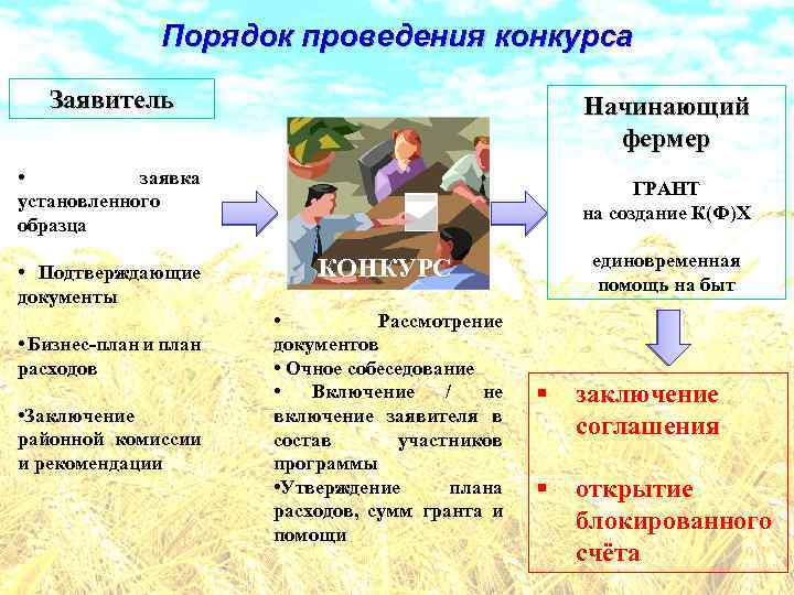 Порядок проведения конкурса Заявитель Начинающий фермер • заявка установленного образца • Подтверждающие документы •