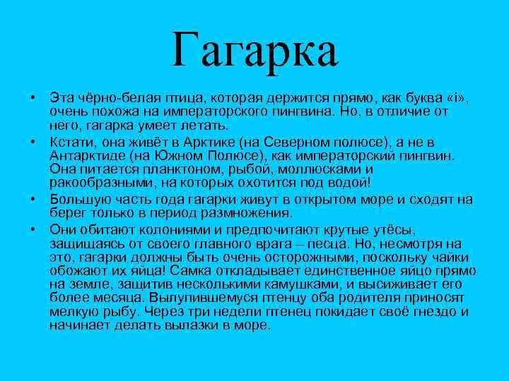 Гагарка • Эта чёрно-белая птица, которая держится прямо, как буква «i» , очень похожа