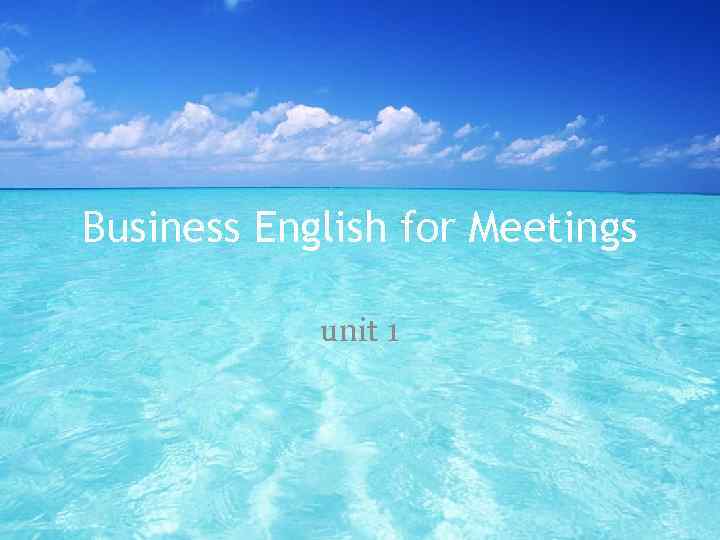Business English for Meetings unit 1 