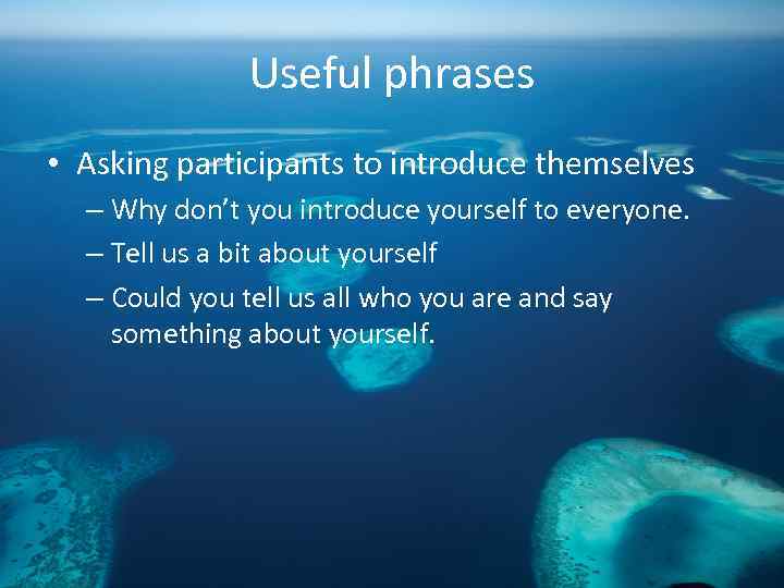 Useful phrases • Asking participants to introduce themselves – Why don’t you introduce yourself