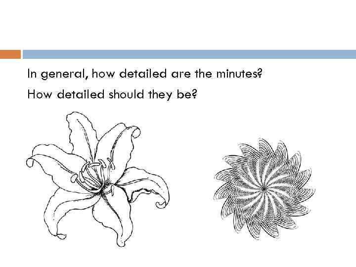 In general, how detailed are the minutes? How detailed should they be? 