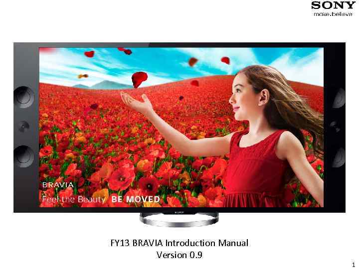 FY 13 BRAVIA Introduction Manual Version 0. 9 1 