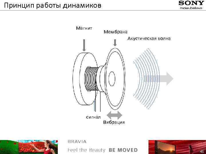 Схема конструкции динамика