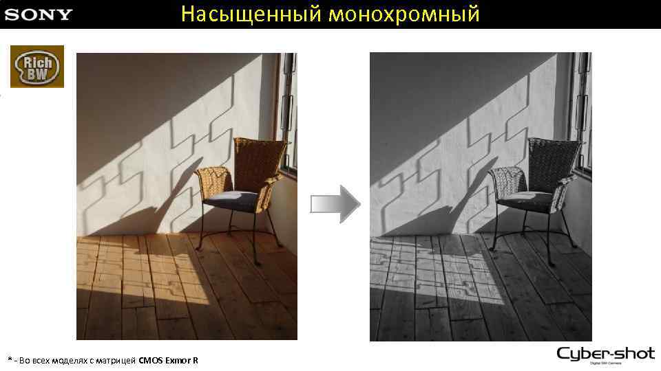 Насыщенный монохромный * - Во всех моделях с матрицей CMOS Exmor R 