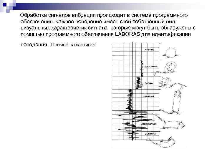 Обработка сигналов вибрации происходит в системе программного обеспечения. Каждое поведение имеет свой собственный вид