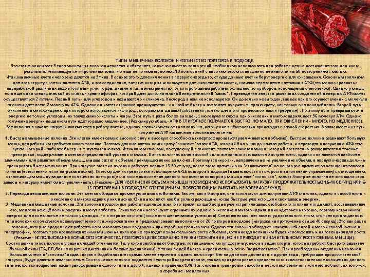 ТИПЫ МЫШЕЧНЫХ ВОЛОКОН И КОЛИЧЕСТВО ПОВТОРОВ В ПОДХОДЕ. Эта статья описывает 3 типа мышечных