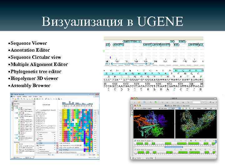 Визуализация в UGENE • Sequence Viewer • Annotation Editor • Sequence Circular view •