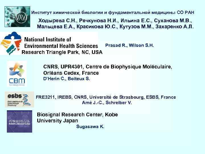 И Х Б Ф M Институт химической биологии и фундаментальной медицины СО РАН Ходырева