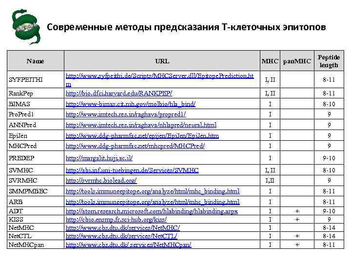 Современные методы предсказания Т-клеточных эпитопов Name URL MHC pan. MHC Peptide length Rank. Pep