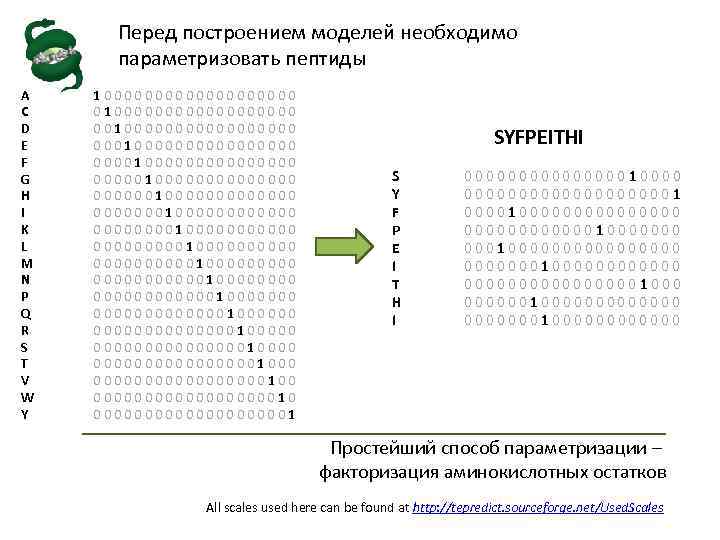 Перед построением моделей необходимо параметризовать пептиды A C D E F G H I