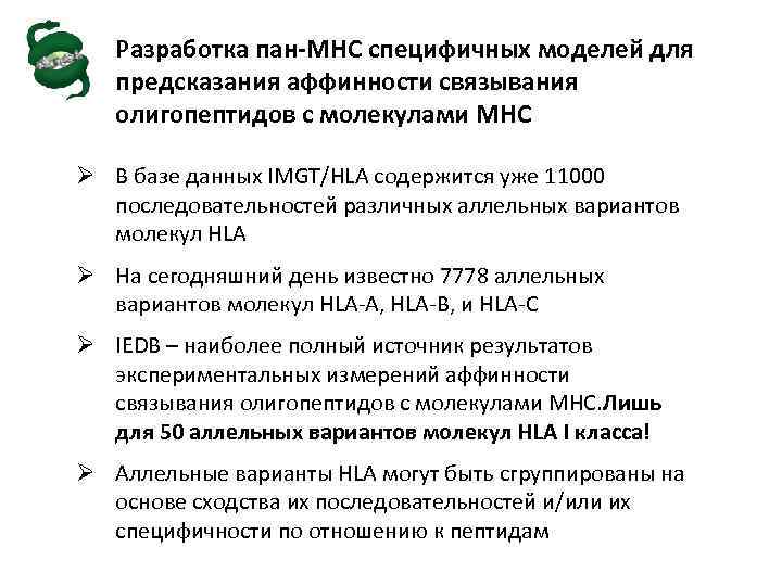 Разработка пан-MHC специфичных моделей для предсказания аффинности связывания олигопептидов с молекулами МНС Ø В