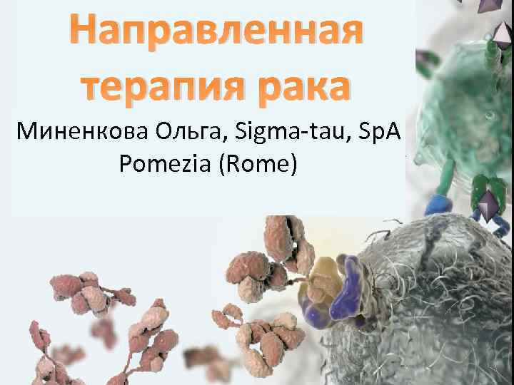 Направленная терапия рака Миненкова Ольга, Sigma-tau, Sp. A Pomezia (Rome) 