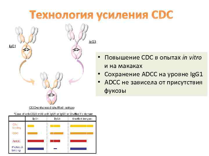 Технология усиления CDC • Повышение CDC в опытах in vitro и на макаках •