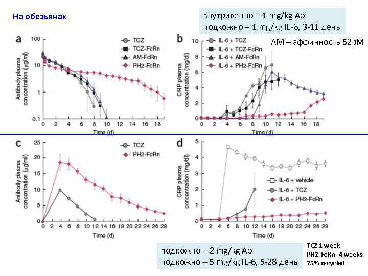 На обезьянах внутривенно – 1 mg/kg Ab подкожно – 1 mg/kg IL-6, 3 -11