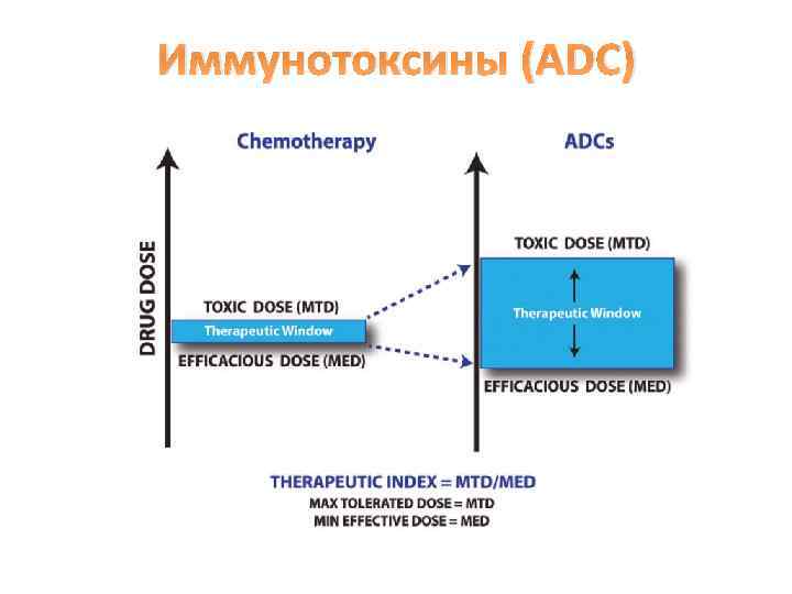 Иммунотоксины (ADC) 