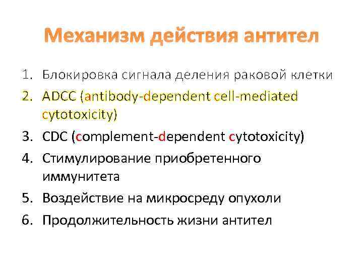 Механизм действия антител 1. Блокировка сигнала деления раковой клетки 2. ADCC (antibody-dependent cell-mediated cytotoxicity)