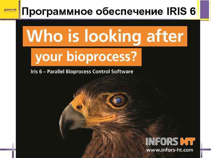 Программное обеспечение IRIS 6 