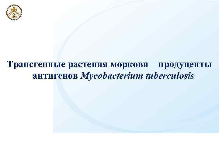 Трансгенные растения моркови – продуценты антигенов Mycobacterium tuberculosis 