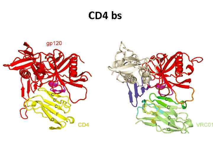 CD 4 bs 
