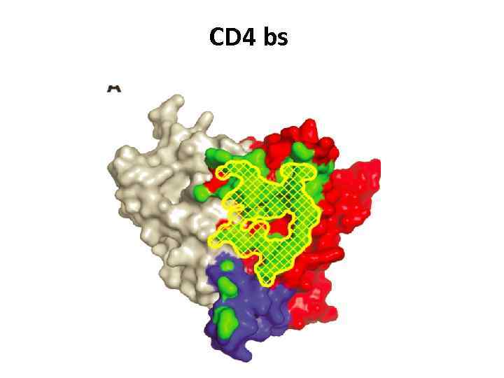 CD 4 bs 
