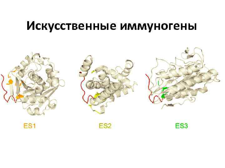 Искусственные иммуногены 