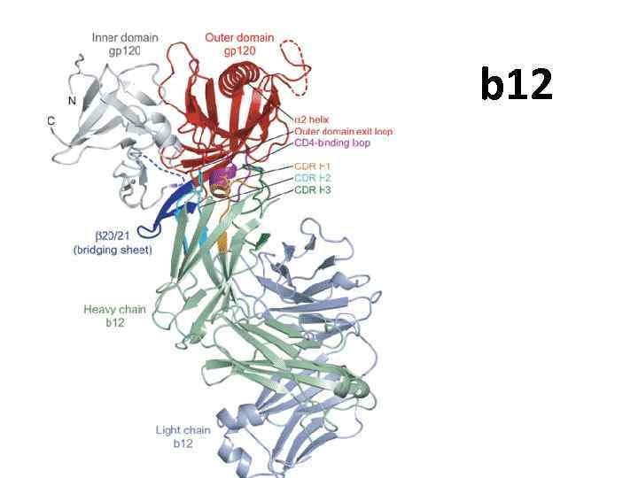 b 12 