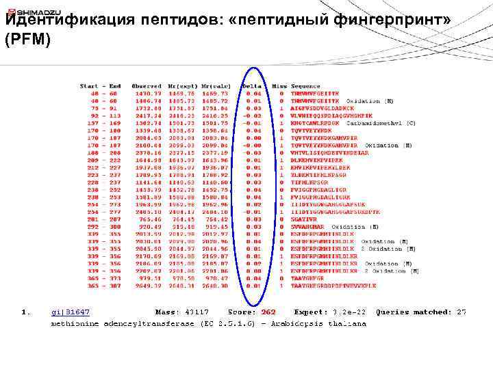 Идентификация пептидов: «пептидный фингерпринт» (PFM) 